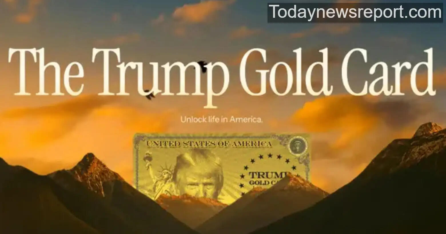 The  trump gold cards